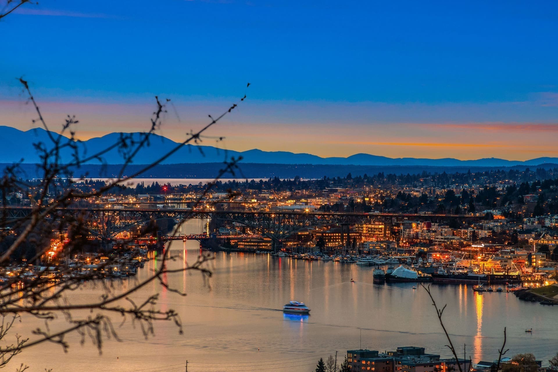 Nighttime cityscape with a body of water reflecting city lights. A boat is sailing in the water, with a bridge extending across the scene. Twinkling lights from buildings and streetlamps illuminate the city, set against distant mountains and a darkening sky. Branches in the foreground.