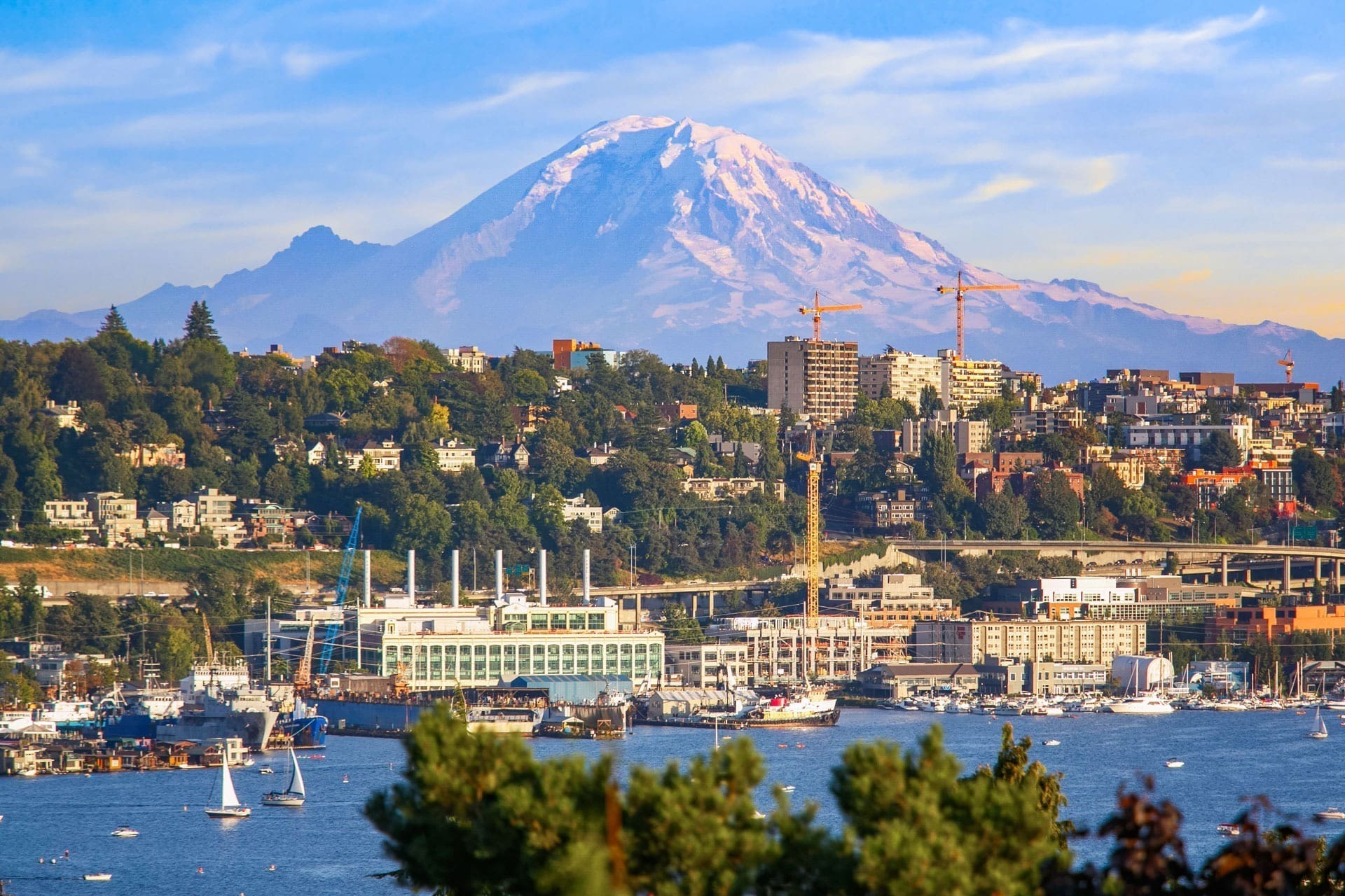 Areas We Serve A scenic view of a large city with a waterfront, numerous boats, and buildings. Construction cranes are visible among the buildings. Dominating the background is a majestic snow-capped mountain under a clear blue sky. Lush greenery surrounds the city.
