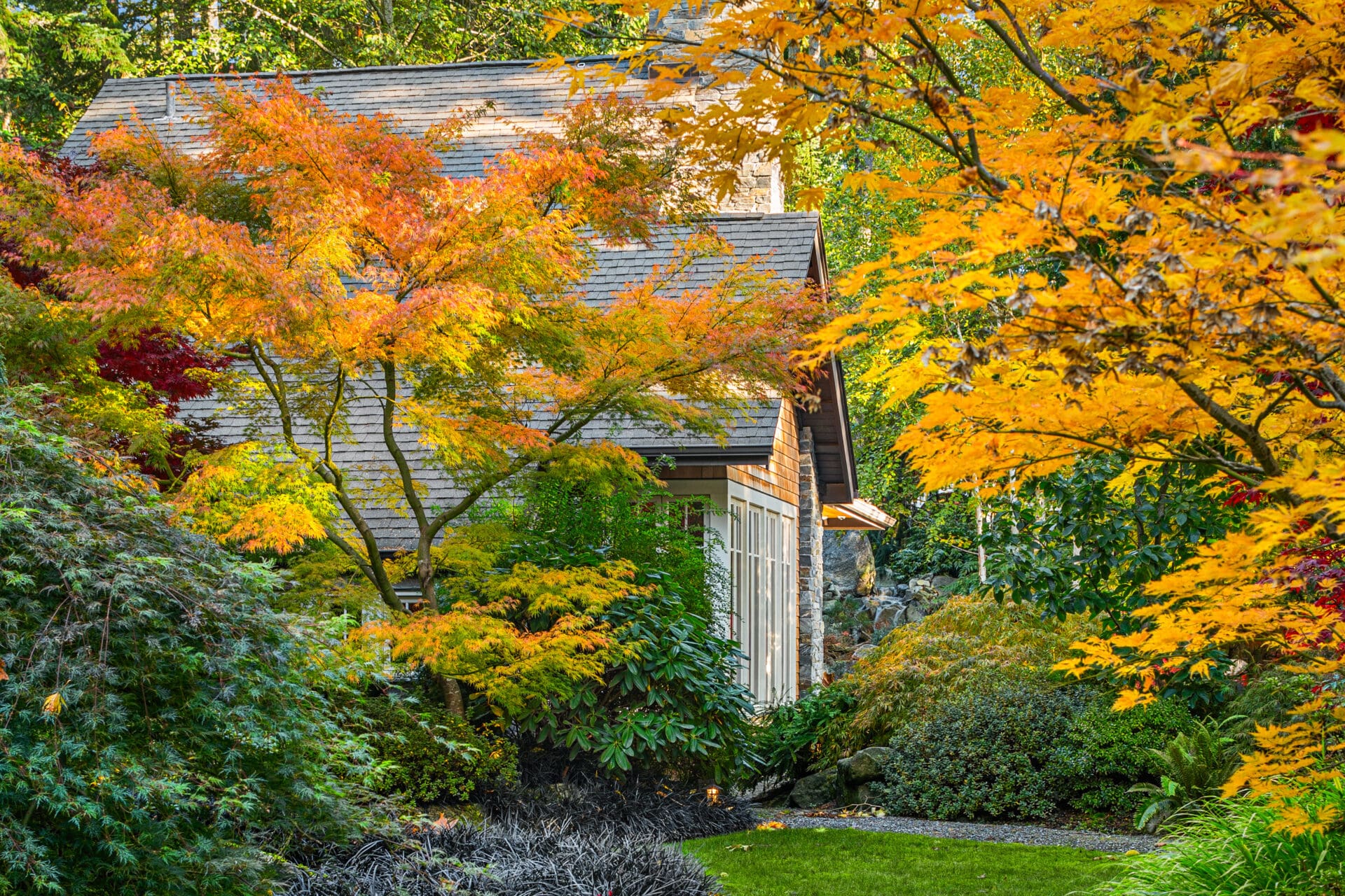 Charming exterior view of a home surrounded by vibrant autumn foliage, showcasing a blend of orange, yellow, and red leaves, set in the picturesque Pacific Northwest.
