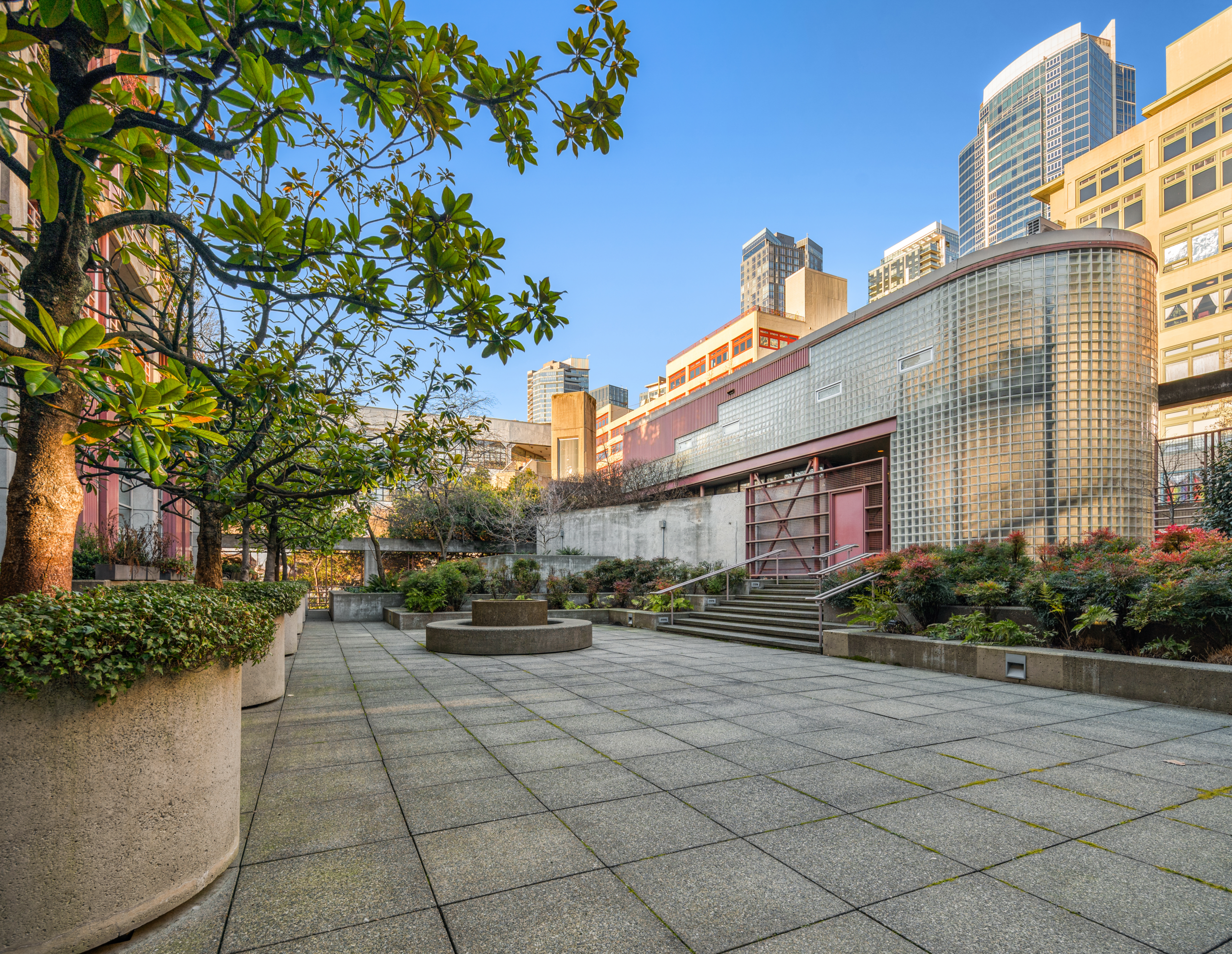 Urban outdoor space with modern design features, featuring landscaped greenery and a sleek glass brick wall, located in downtown Seattle.